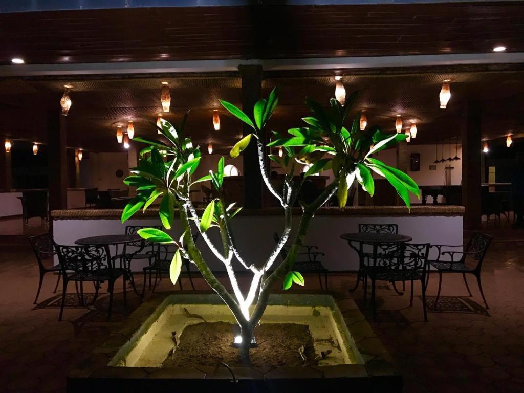 Peacock Beach Hotel Hambantota Extérieur photo